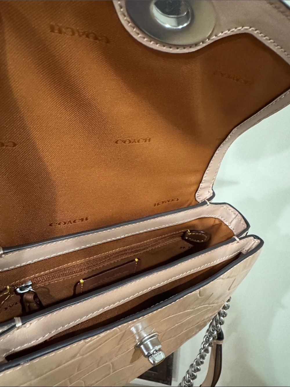Coach Cassie Croc-Embossed Leather Crossbody with Silver Chain - Picture 6 of 8